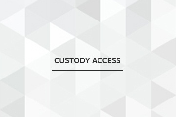Child Custody Lawyer Toronto 